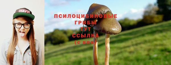 прущие грибы Козловка