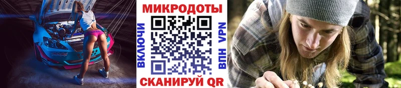 Купить закладки  Бузулук  Галлюциногенные грибы Cubensis 